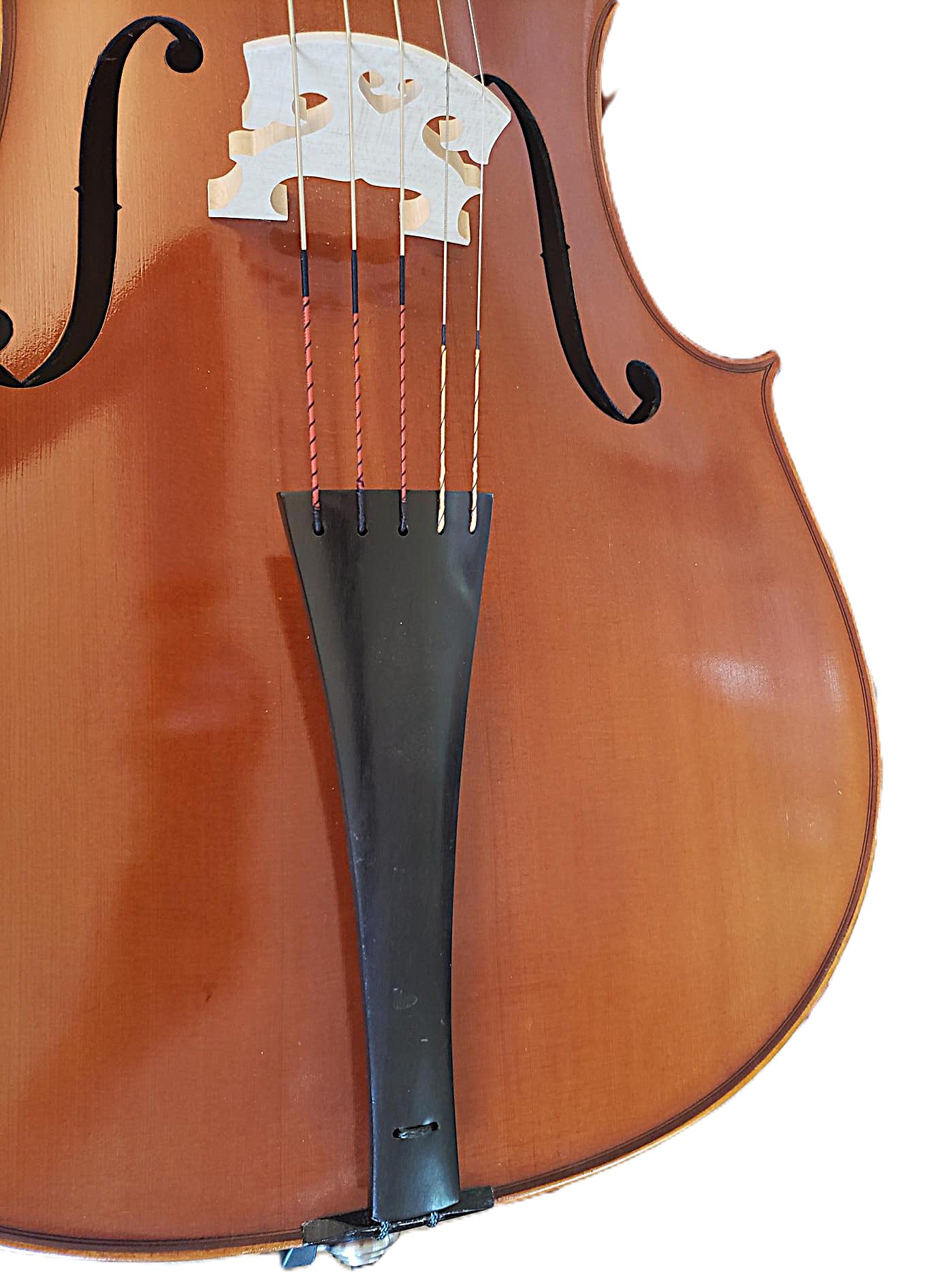 5-String Cello - Image 6