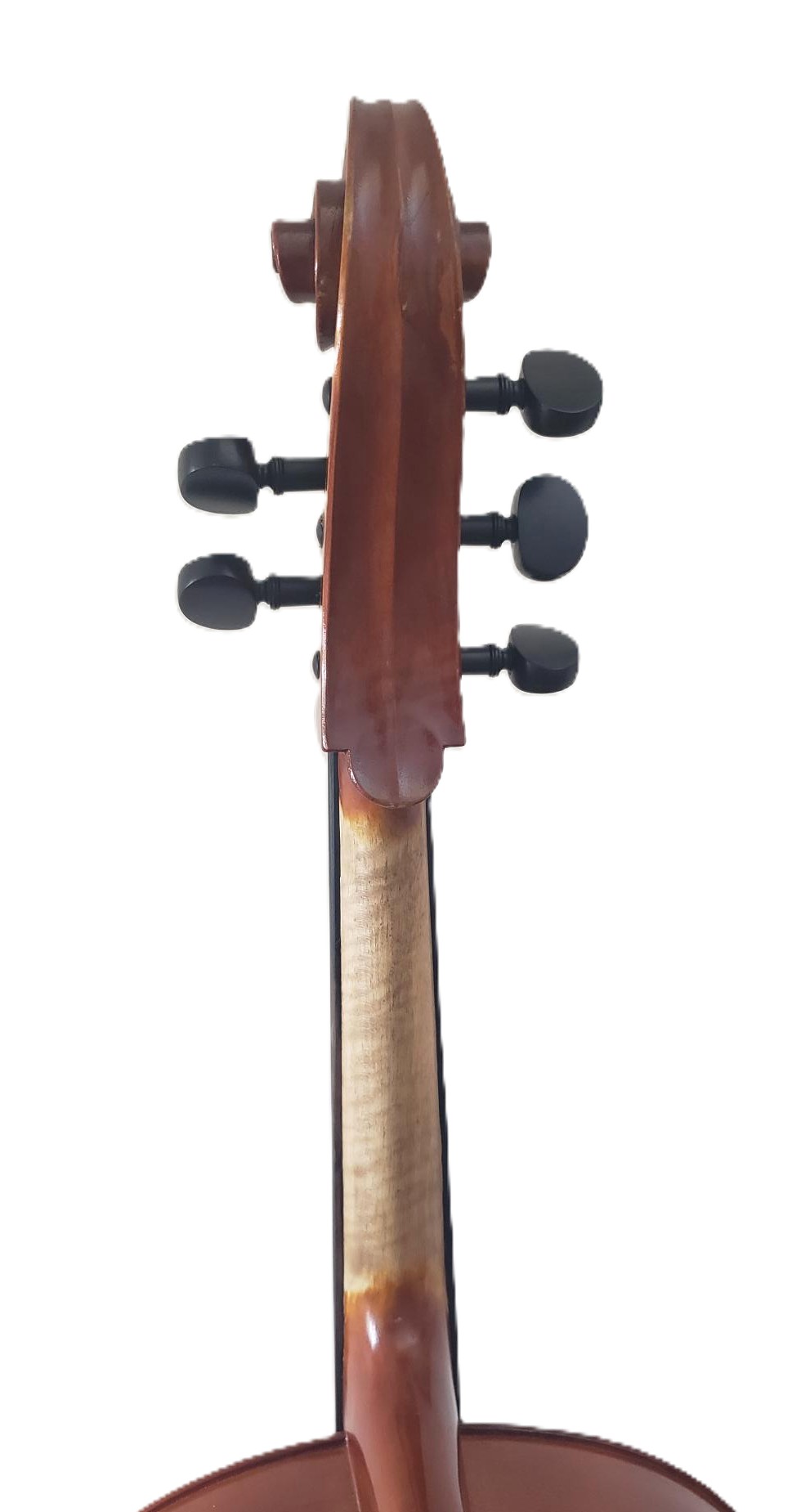 5-String Cello - Image 5