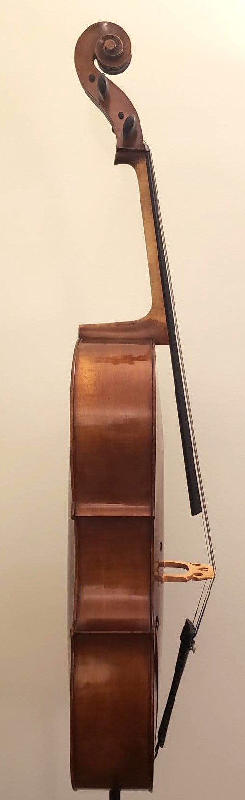 David Mahov - Image 3