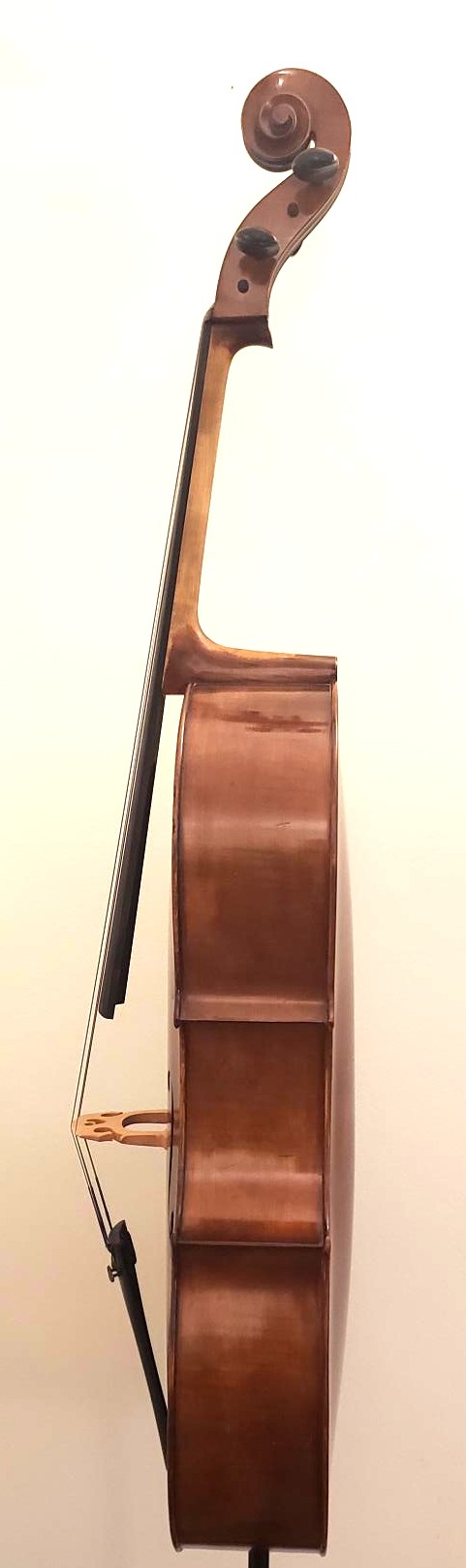 David Mahov - Image 5