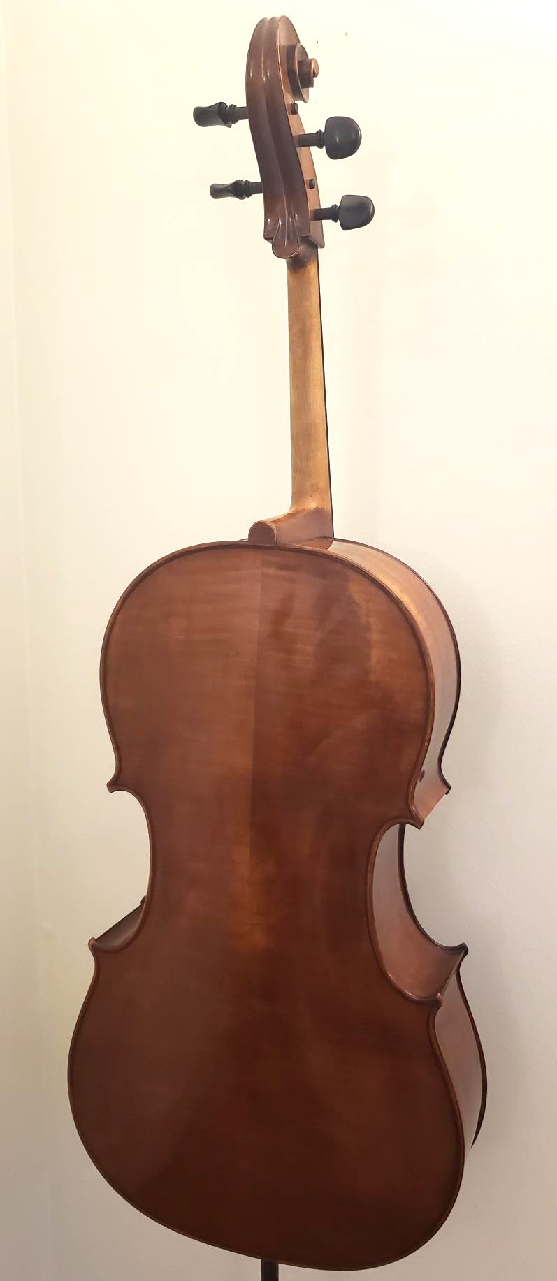 David Mahov - Image 2