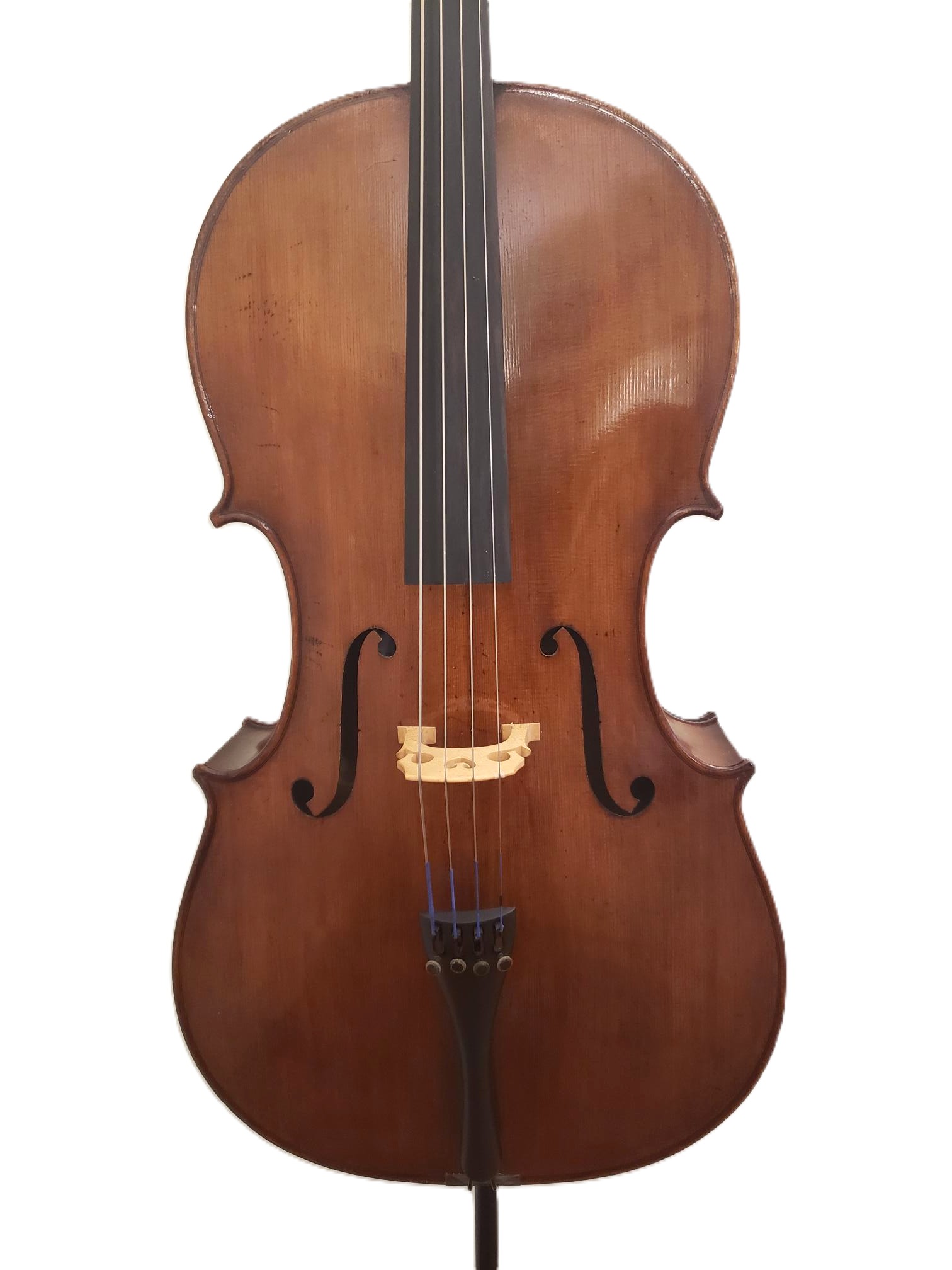 David Mahov - Image 4